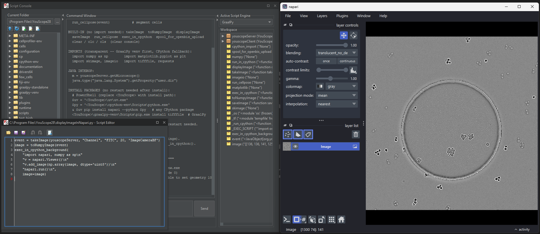 Scripting & environments — YouScope
